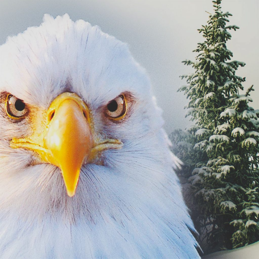 Eagle Crusher Company December