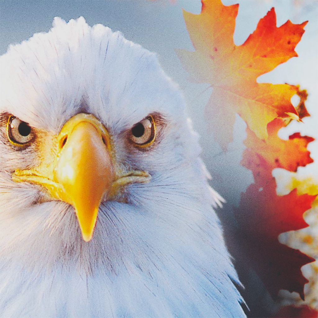 Eagle Crusher Company November